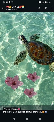 😝😝la fofole😝😝's avatar