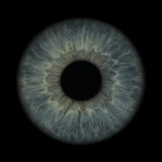 ✿Fenja✿'s avatar