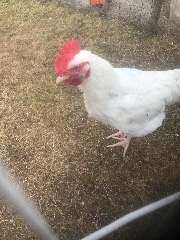 Stickers aléatoire's avatar