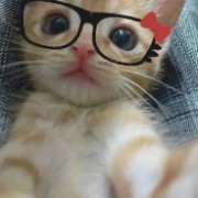 Giorgiuliii🍫🎀🍰🫶🏻's avatar