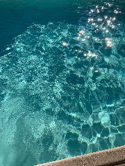 🫧🪼🐚🌅{A}🤍🍉🌴✨'s avatar