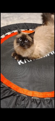 E💝❤️‍🔥📚's avatar