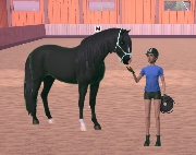 Etg_Horse_Game's avatar
