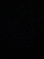 Sarah ♥️'s avatar