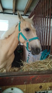 Fidji-la star's avatar