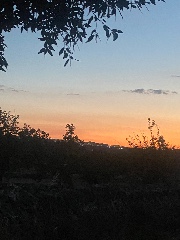 Coquetterose's avatar