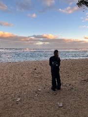 Laurenn 🪩🐚's avatar