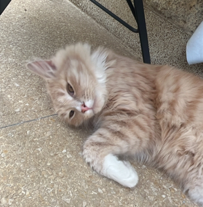 Vloggers 🌸🌴✈️'s avatar