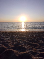 Emma 🫧🐾's avatar