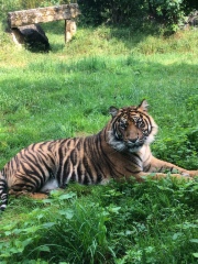 ✨🎀Rumi 's avatar