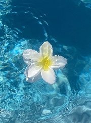 🪩✨Juliette ☁️🌸's avatar