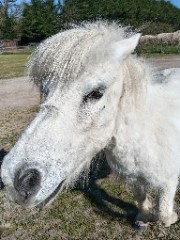 Inès🫦🎀💐🍋's avatar