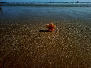 Čł€@🌺's avatar