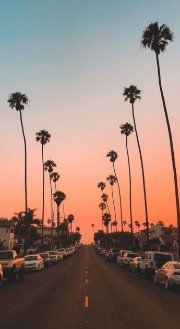 VioSilvi♾'s avatar