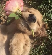 ~ Lilah 🎱🐆🍒🎀's avatar