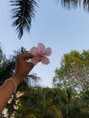 ꨄ︎ Eleanor and Diane ꨄ︎ 's avatar