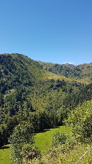 Verschiedenes 's avatar