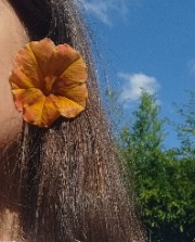 ℒ𝑒𝑙𝑎𝑛𝑖 🏝️🐚's avatar