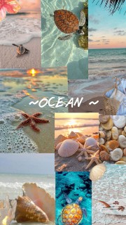 Maëlys😘🌹🫧☁️🪩 's avatar