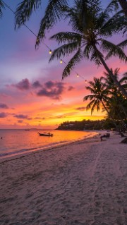 •☆Melissa☆•'s avatar