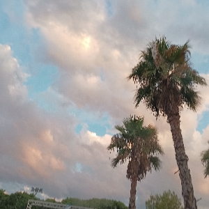 The_equistar 's avatar