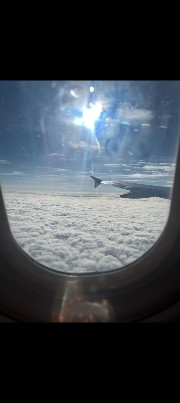 Hunger games memes owner 's avatar