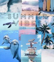 Summer Vibes's avatar
