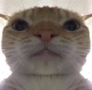 Elias38hhy 's avatar