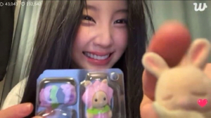  ꆭ 🐇 ꒱'s avatar