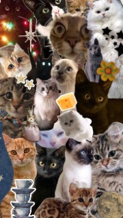 mimi life advice ✨'s avatar