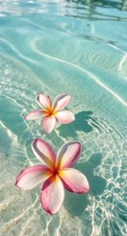 𝐀𝐧𝐧𝐚𝐛𝐞𝐥's avatar