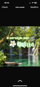 Natura 🍀🐾's avatar