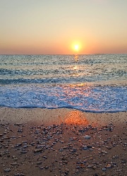 Emma🧸❤️'s avatar