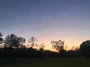 Nature Photos 🐚🥥✨🪩's avatar