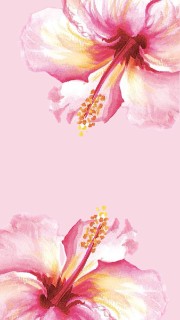 cutiesssXOXO's avatar