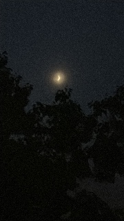 An0nym(probleme)'s avatar