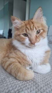 Tutto per TUTTI♡♡'s avatar