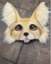 🦎💖Ginger 💖🦎's avatar