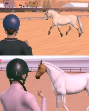 Haras des Landes 🌷🌿's avatar