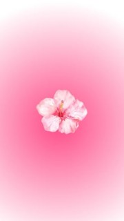 🐆🎱🐚Azèle 🐚🎱🐆's avatar