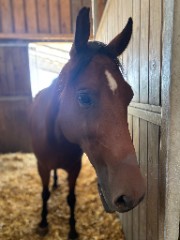 Doudou la star's avatar