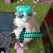 Niina's Minecraft Avontuur 's avatar