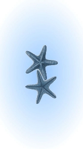 A&O les besties en or ✨💍's avatar