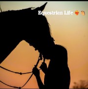 Aury❣️🐴's avatar