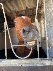 Paula_et_Fleur's avatar