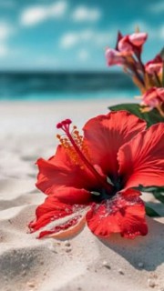 Dit moi tttttt🥂🍒🐆's avatar