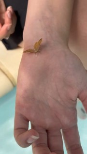 Camille ✨'s avatar