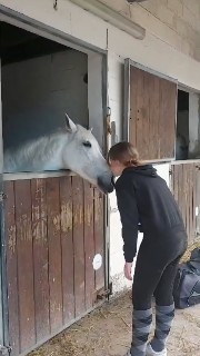 ☁Noélie_et_Glups☁'s avatar