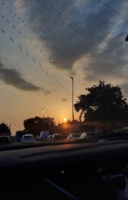 🫧🐅𝒱𝒾𝒷𝑒 𝒽𝑜𝓊𝓈𝑒🫧🐅's avatar