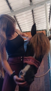 Daphne_jojo🤍🐴's avatar